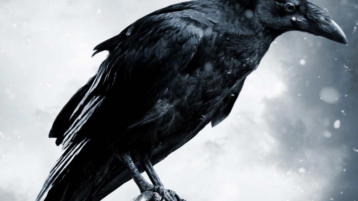 Odin's Ravens Hugin and Munin More Than Just Thought and Memory