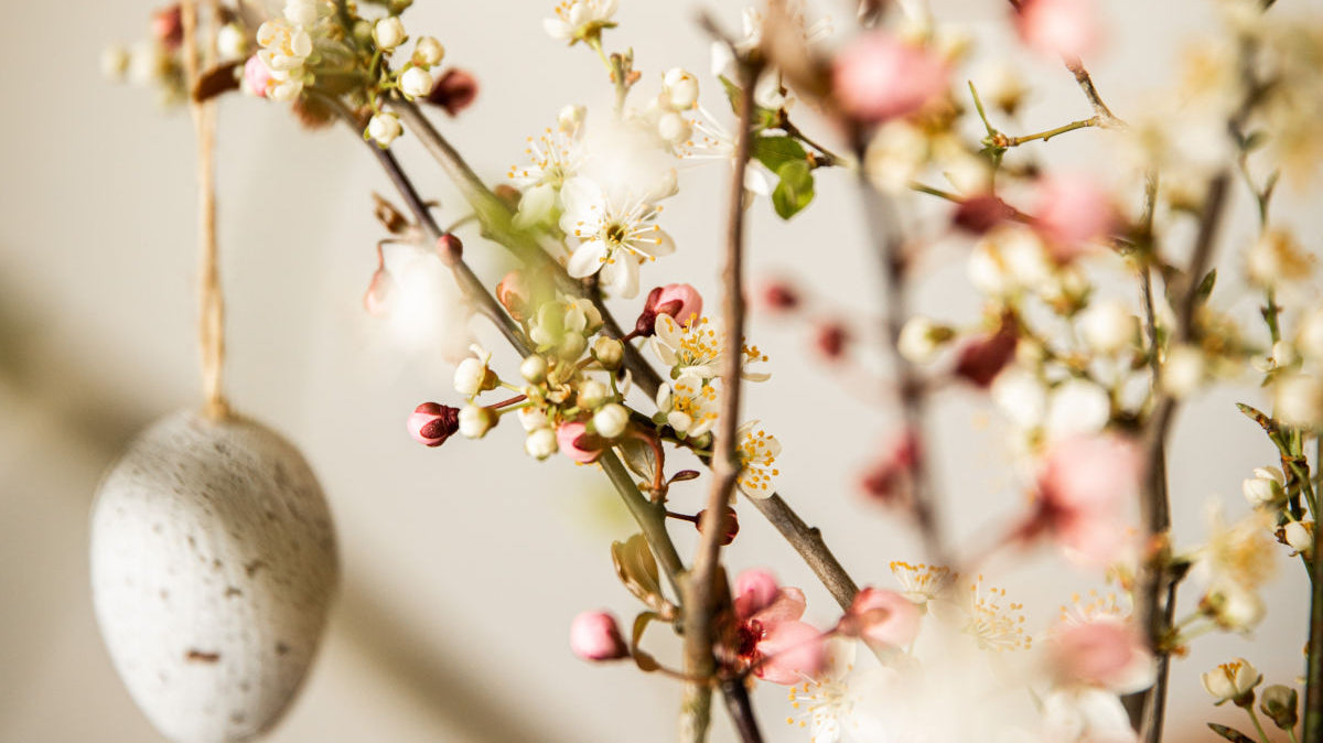 The Significance of Easter: An Exploration of Its Pagan Heritage