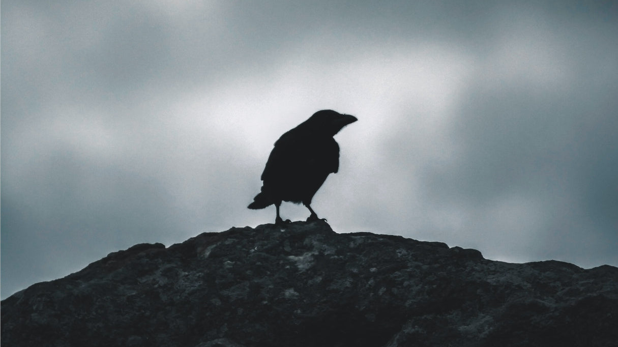 The Wisdom of Odin's Ravens: What Can Hugin and Munin Teach Us Today?