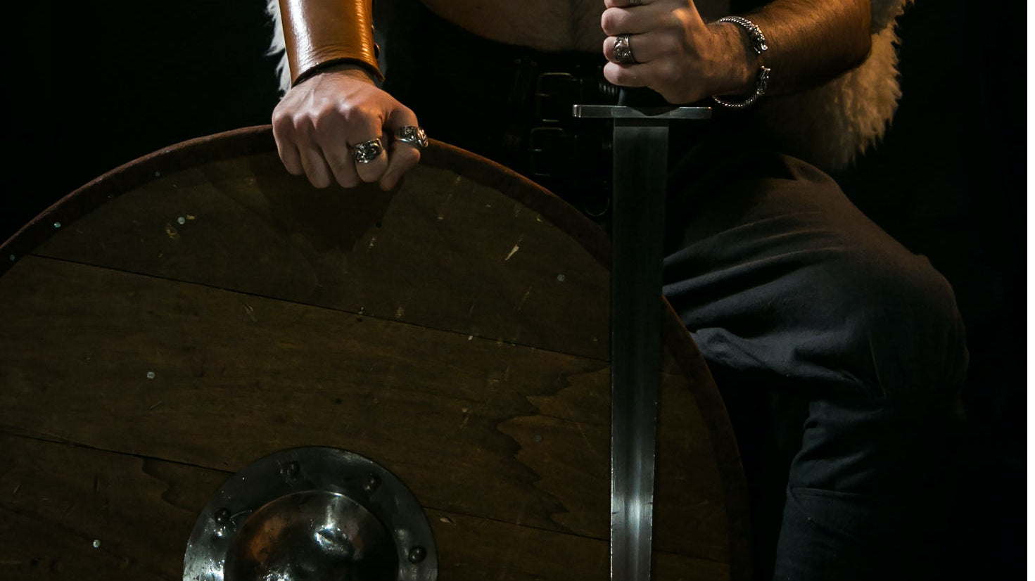 A mystery: What makes the Viking Shields So Interesting?