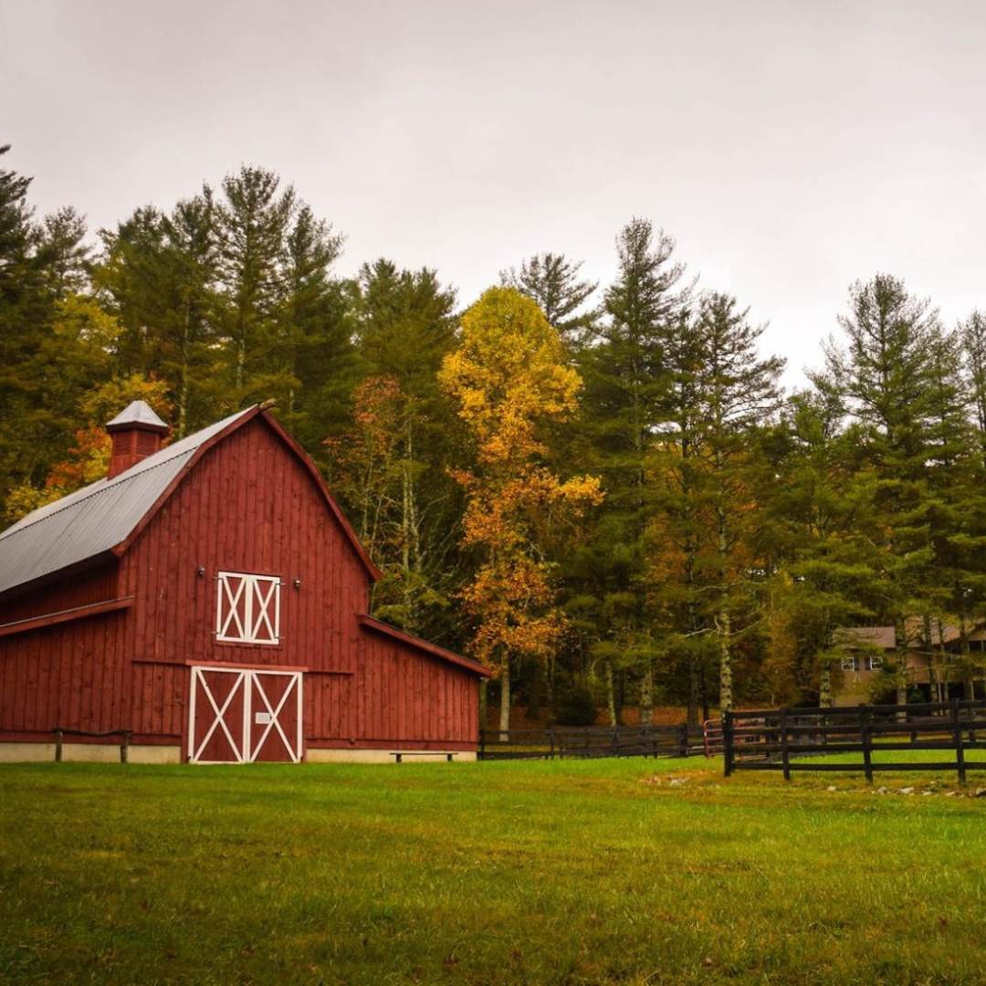 Exploring the World of Tomten: The Hidden Force Behind Sweden's Farm Life